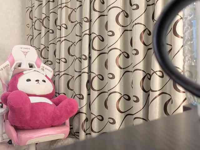 dolly-ll webcam