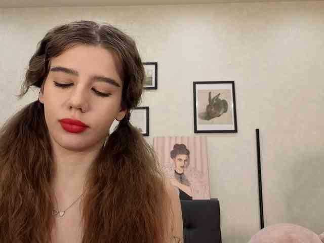 dolly-ll webcam