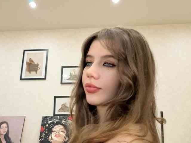 dolly-ll webcam
