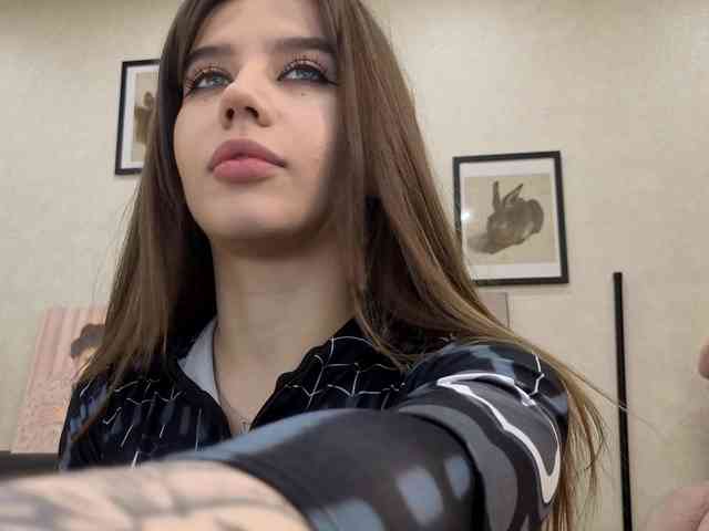 dolly-ll webcam