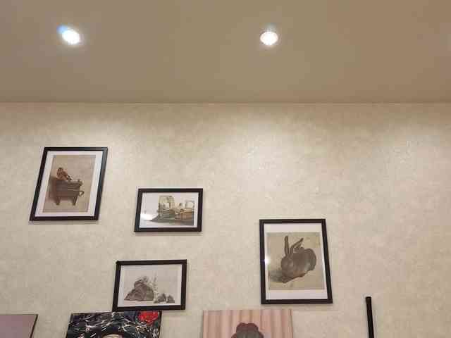 dolly-ll webcam