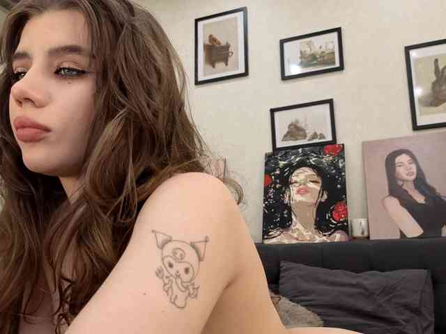 dolly-ll webcam