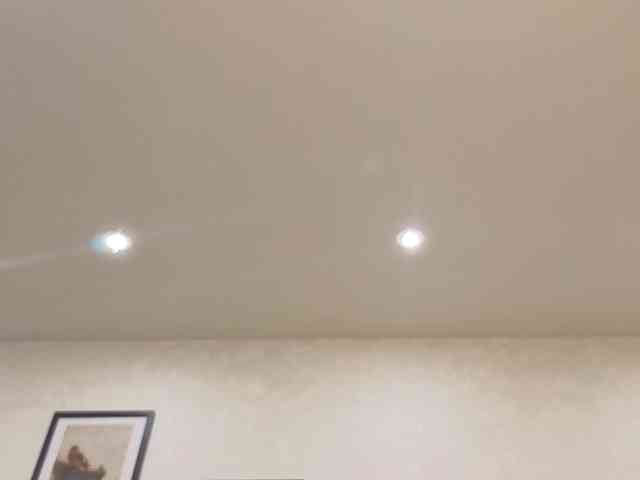 dolly-ll webcam