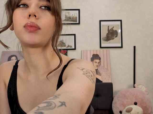 dolly-ll webcam