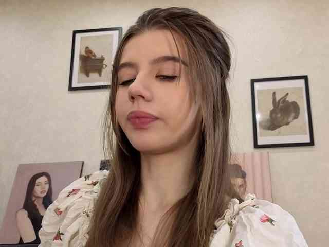 dolly-ll webcam