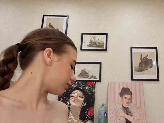 dolly-ll webcam