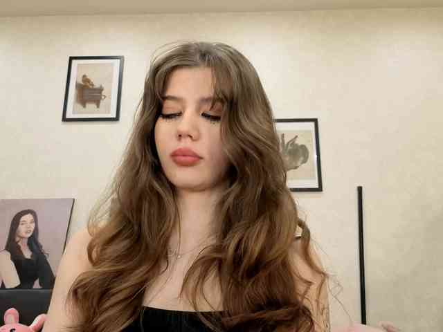 dolly-ll webcam