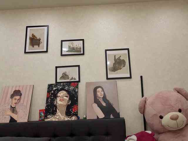 dolly-ll webcam