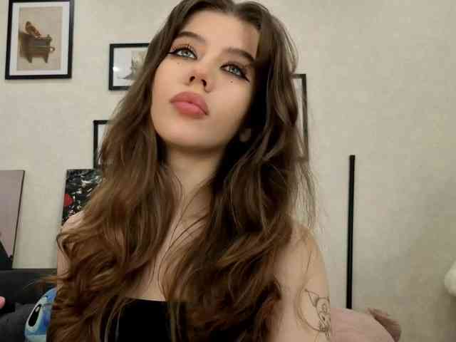 dolly-ll webcam