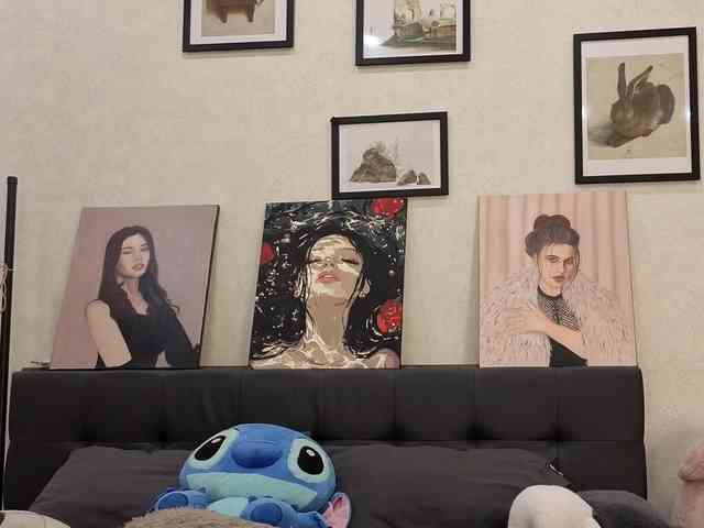 dolly-ll webcam