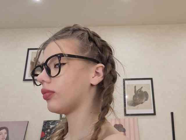 dolly-ll webcam