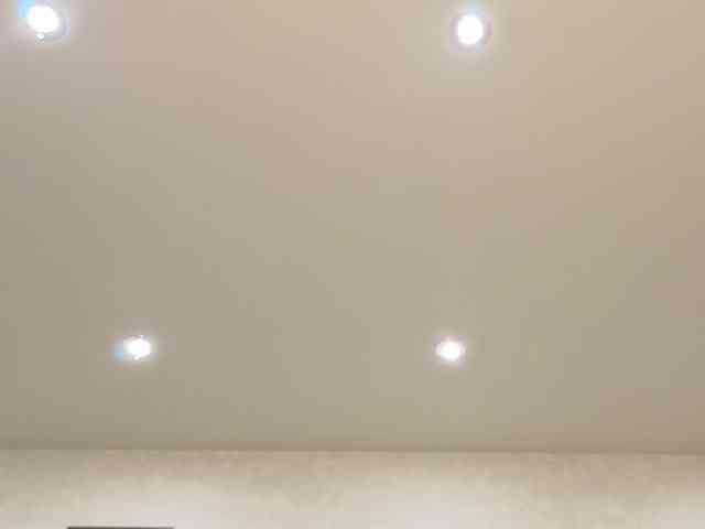 dolly-ll webcam