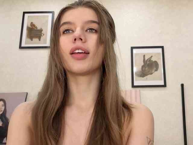 dolly-ll webcam