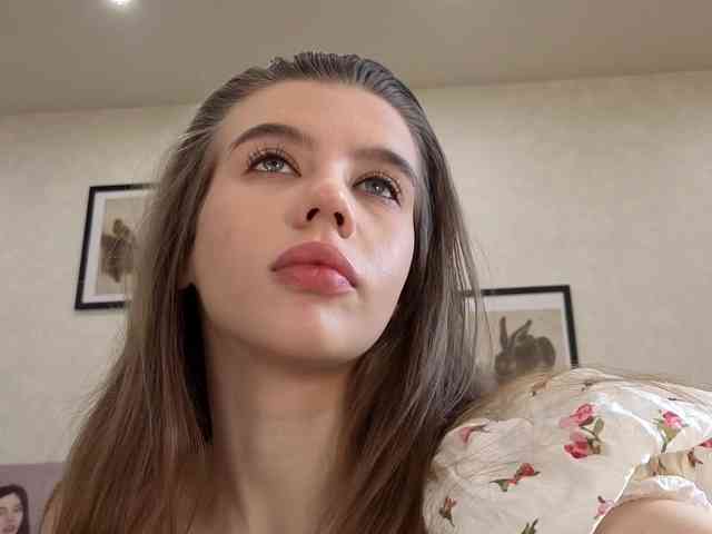 dolly-ll webcam