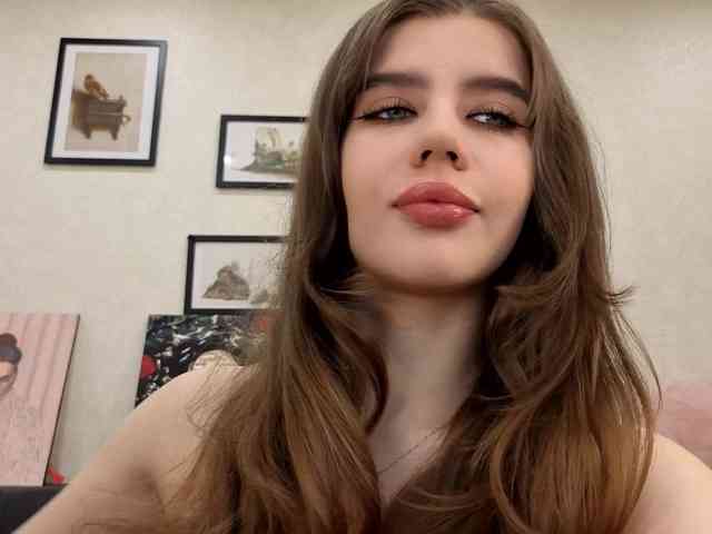 dolly-ll webcam