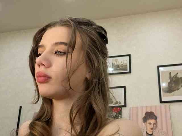 dolly-ll webcam