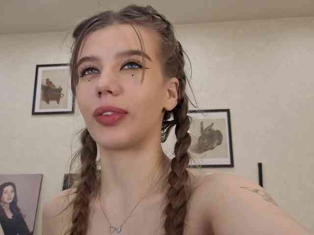 dolly-ll webcam