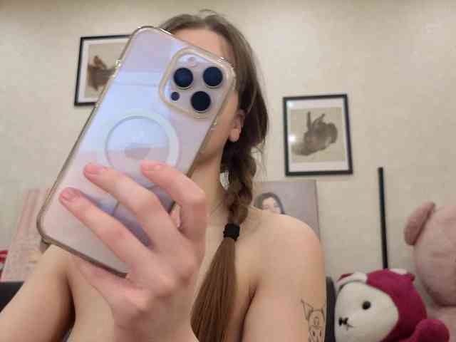 dolly-ll webcam