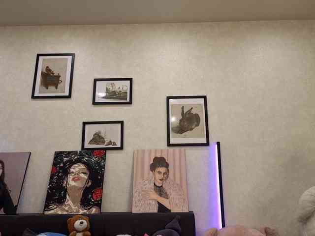 dolly-ll webcam