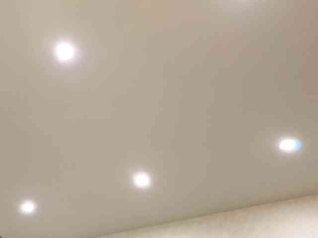 dolly-ll webcam