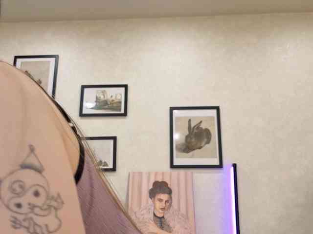 dolly-ll webcam