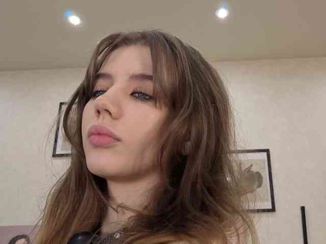 dolly-ll webcam
