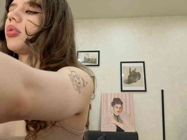 dolly-ll webcam