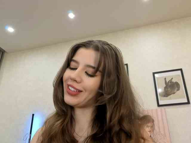 dolly-ll webcam