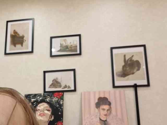 dolly-ll webcam