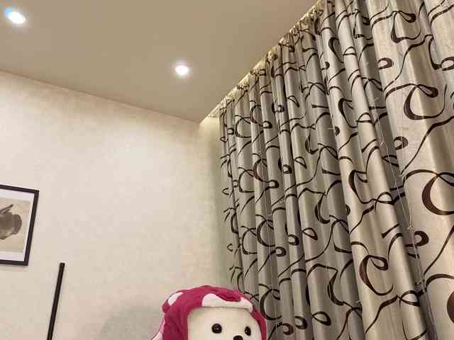 dolly-ll webcam