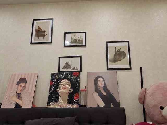 dolly-ll webcam
