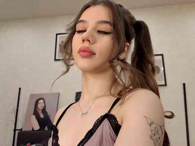 dolly-ll webcam