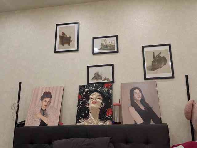 dolly-ll webcam