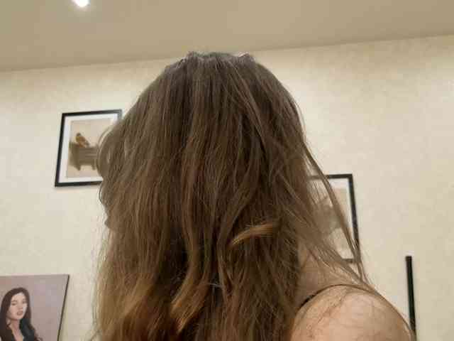 dolly-ll webcam
