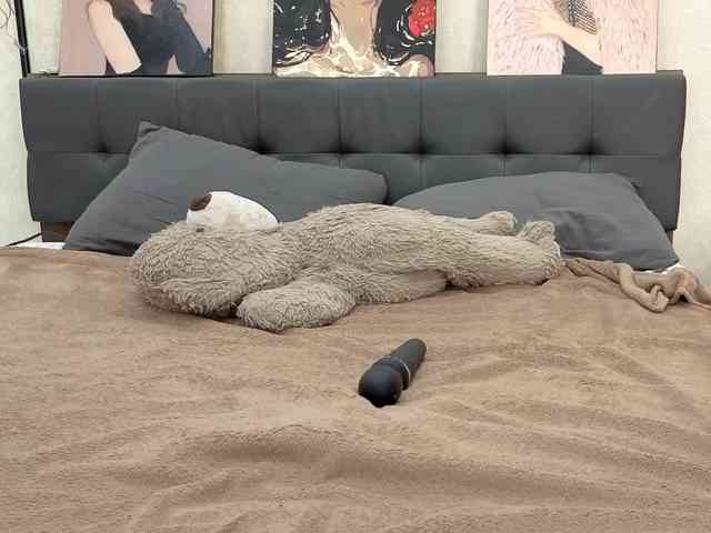 dolly-ll webcam