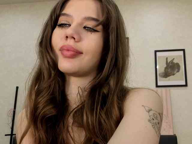 dolly-ll webcam
