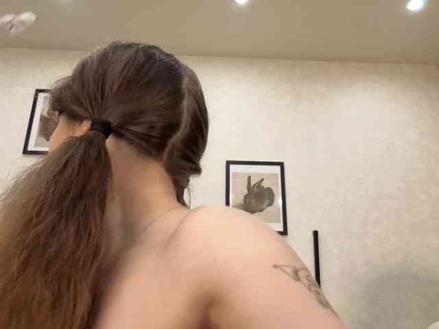 dolly-ll webcam