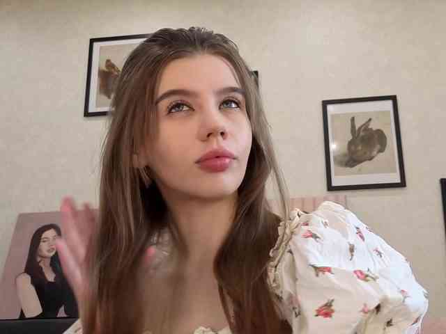 dolly-ll webcam