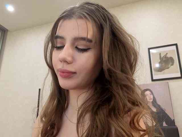 dolly-ll webcam