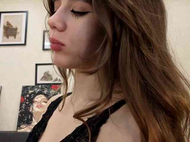 dolly-ll webcam