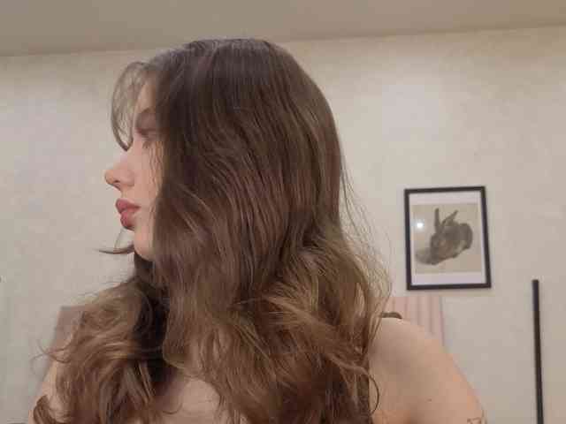 dolly-ll webcam