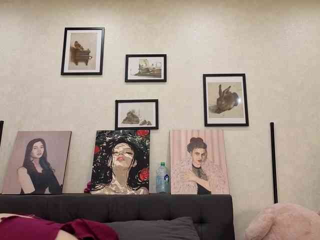 dolly-ll webcam