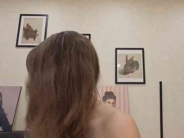 dolly-ll webcam