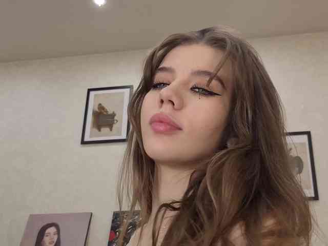 dolly-ll webcam