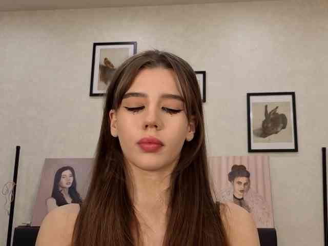dolly-ll webcam