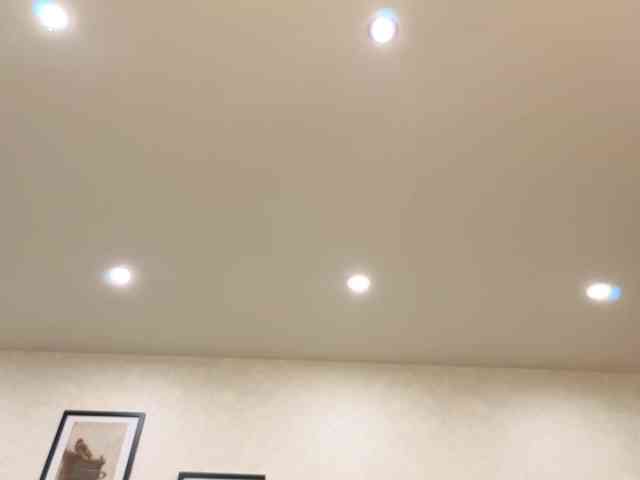 dolly-ll webcam