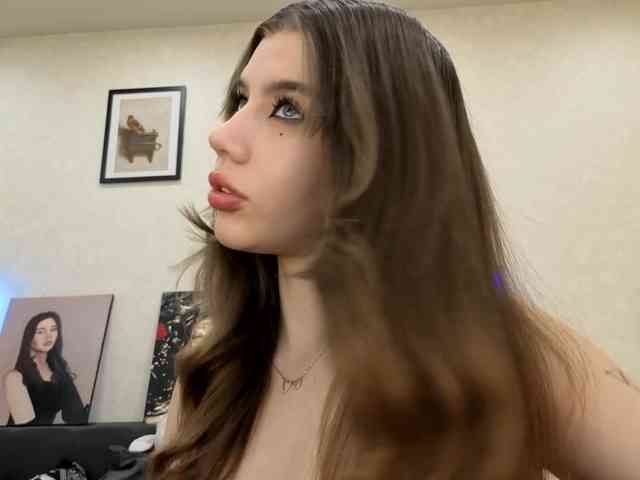 dolly-ll webcam