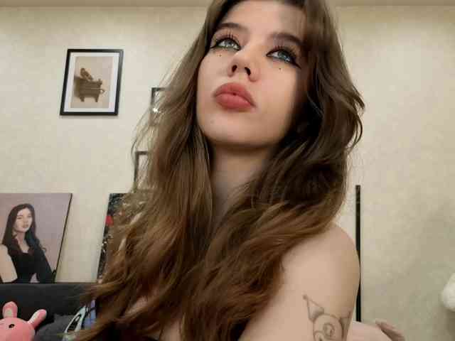 dolly-ll webcam