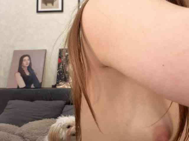 dolly-ll webcam