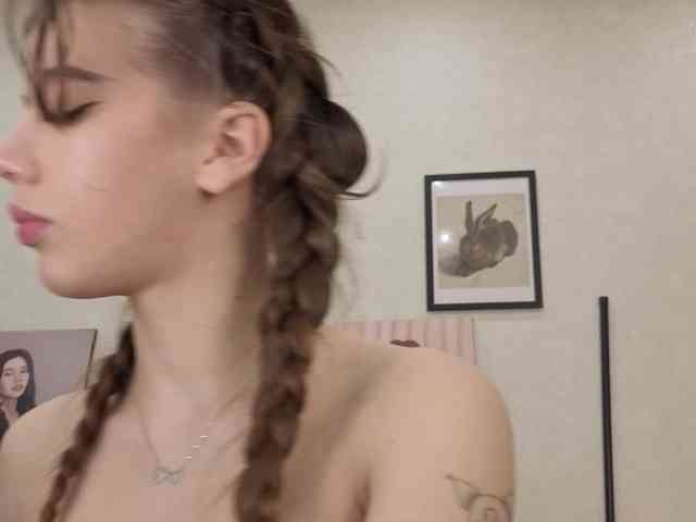 dolly-ll webcam